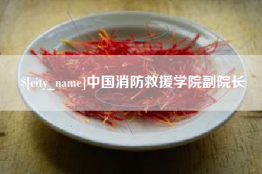 喀什中国消防救援学院副院长