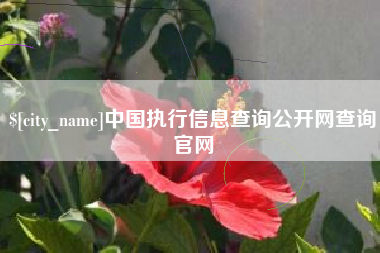 喀什中国执行信息查询公开网查询官网