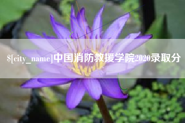 喀什中国消防救援学院2020录取分