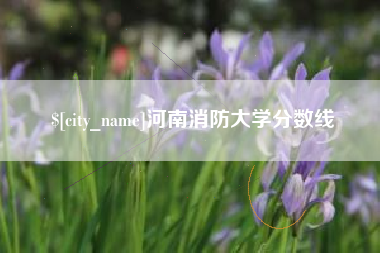 喀什河南消防大学分数线