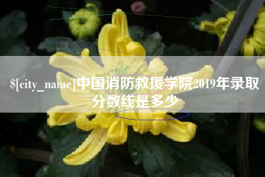 喀什中国消防救援学院2019年录取分数线是多少