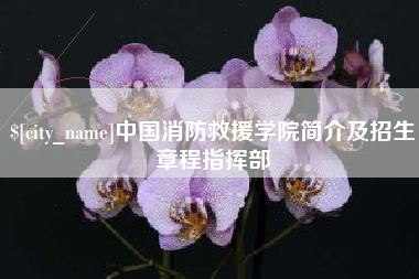 喀什中国消防救援学院简介及招生章程指挥部