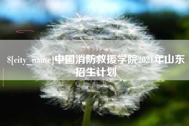 喀什中国消防救援学院2021年山东招生计划