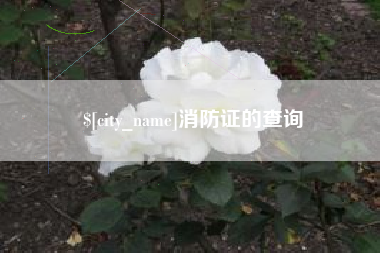 喀什消防证的查询
