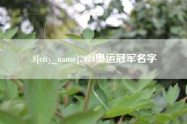 喀什2024奥运冠军名字