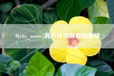 喀什消防证初级查询系统
