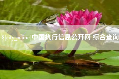 喀什中国执行信息公开网 综合查询