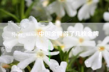 喀什中国金牌得了几枚金牌