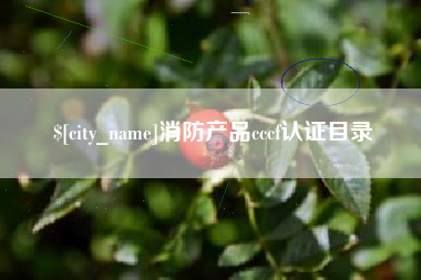 喀什消防产品cccf认证目录