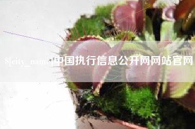 喀什中国执行信息公开网网站官网