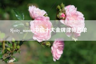 喀什中国十大金牌律师名单