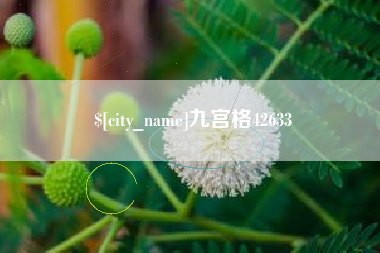 喀什九宫格42633