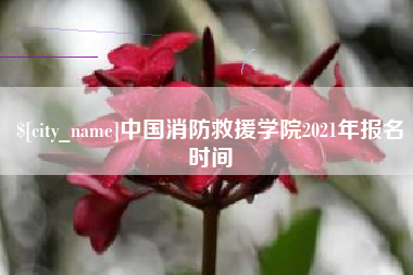 喀什中国消防救援学院2021年报名时间