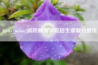 喀什消防救援学院招生录取分数线