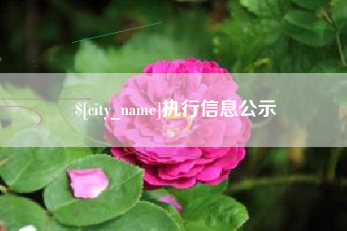 喀什执行信息公示
