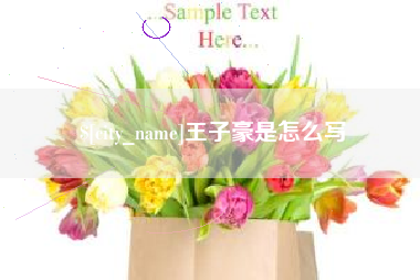 喀什王子豪是怎么写