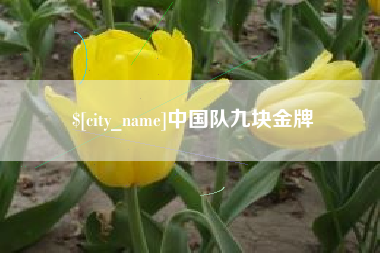 喀什中国队九块金牌