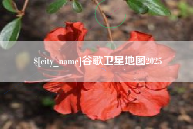 喀什谷歌卫星地图2025