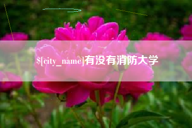 喀什有没有消防大学