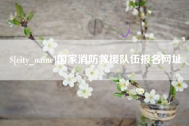 喀什国家消防救援队伍报名网址