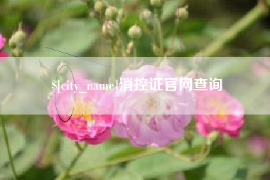 喀什消控证官网查询