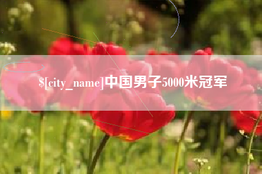 喀什中国男子5000米冠军