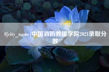 喀什中国消防救援学院2021录取分数