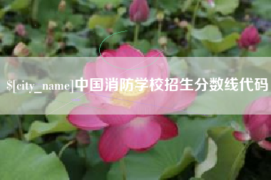 喀什中国消防学校招生分数线代码