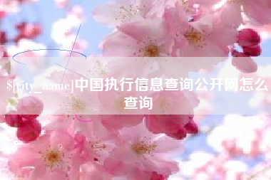 喀什中国执行信息查询公开网怎么查询