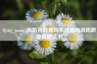 喀什消防官网查询系统查询消防职业资格证书