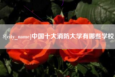 喀什中国十大消防大学有哪些学校