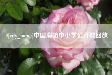 喀什中国消防中小学公开课回放