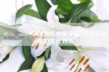喀什中国消防救援学院2020年在山东招生计划表