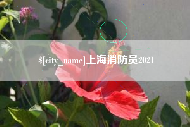 喀什上海消防员2021