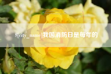 喀什我国消防日是每年的