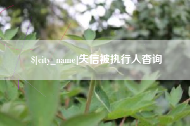 喀什失信被执行人杳询