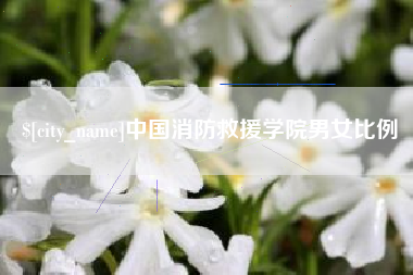喀什中国消防救援学院男女比例