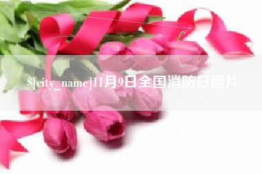 喀什11月9日全国消防日图片
