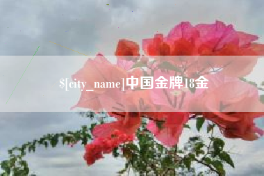 喀什中国金牌18金