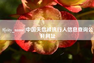 喀什中国失信被执行人信息查询公开网址