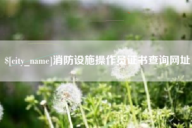 喀什消防设施操作员证书查询网址