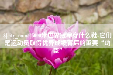 喀什5000米世界冠军穿什么鞋-它们是运动员取得优异成绩背后的重要“功臣”