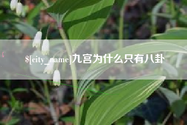 喀什九宫为什么只有八卦