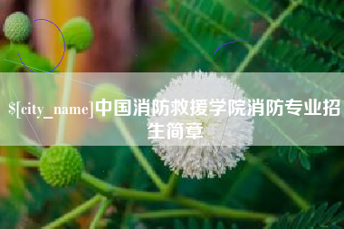 喀什中国消防救援学院消防专业招生简章