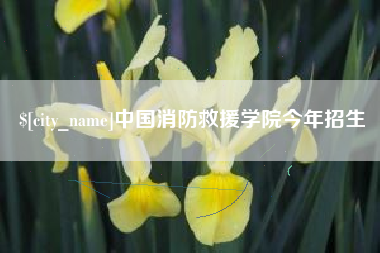 喀什中国消防救援学院今年招生