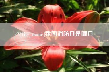喀什我国消防日是哪日