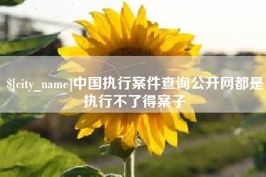 喀什中国执行案件查询公开网都是执行不了得案子