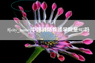 喀什中国消防救援学院是985吗