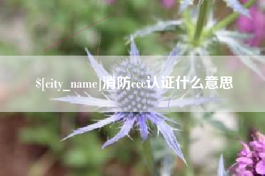 喀什消防ccc认证什么意思