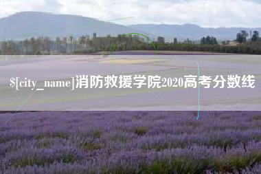 喀什消防救援学院2020高考分数线